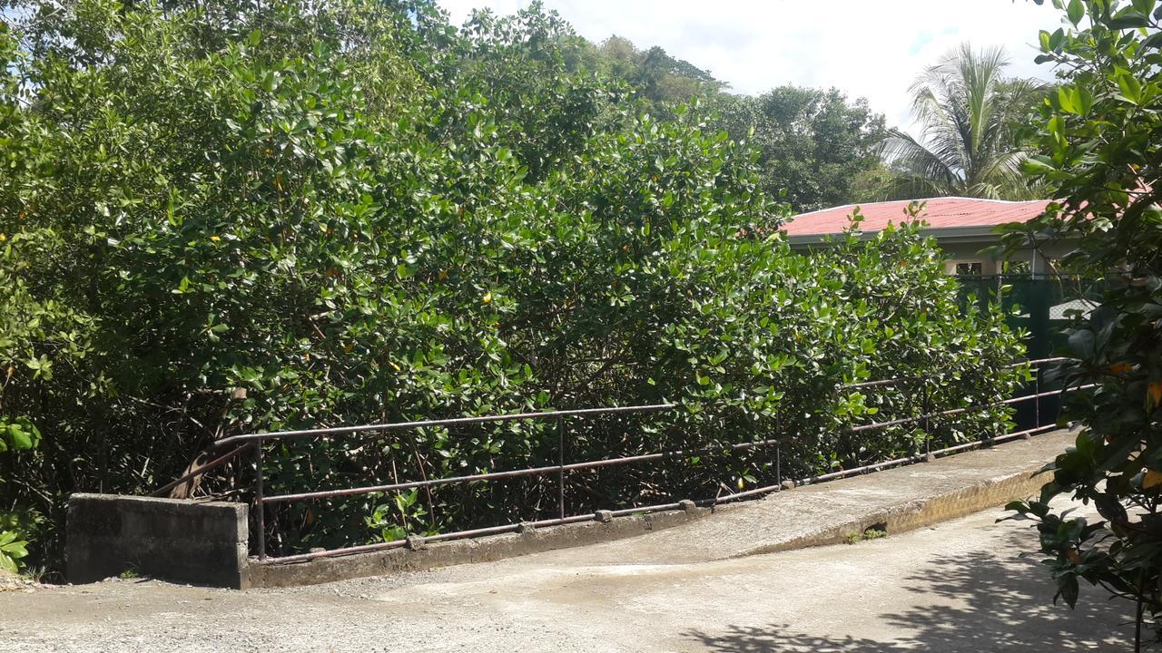 Sueno Tranquilo Hotel Quepos Exterior foto